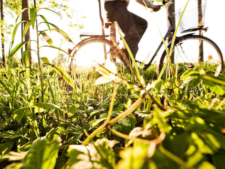 Eine Person fährt auf dem Mountainbike durch das saftige grüne Gras in Bad Füssing.